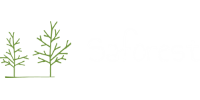 Saforest